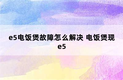 e5电饭煲故障怎么解决 电饭煲现e5